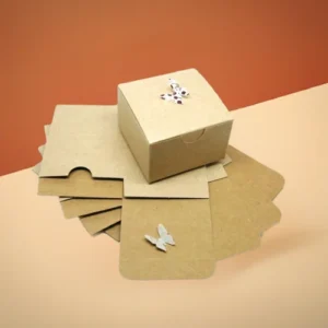 custom-kraft-boxes